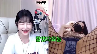 잡았다 요놈 비제이 하피 - 인기 한국야동 한국야동